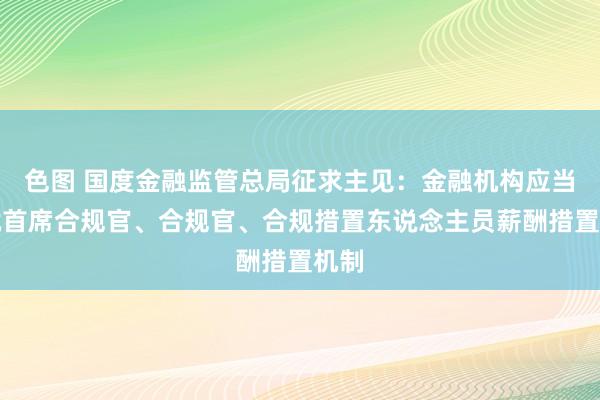 色图 国度金融监管总局征求主见：金融机构应当成就首席合规官、合规官、合规措置东说念主员薪酬措置机制