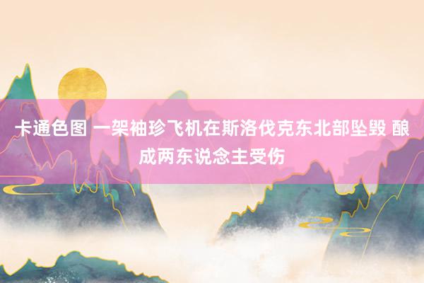 卡通色图 一架袖珍飞机在斯洛伐克东北部坠毁 酿成两东说念主受伤
