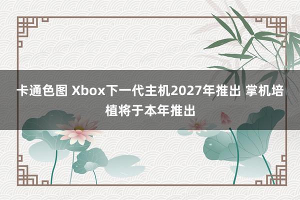 卡通色图 Xbox下一代主机2027年推出 掌机培植将于本年推出