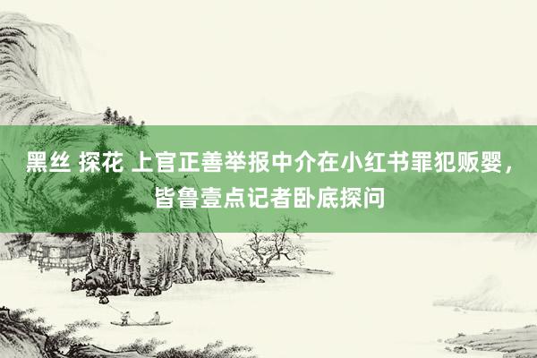 黑丝 探花 上官正善举报中介在小红书罪犯贩婴，皆鲁壹点记者卧底探问