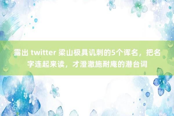 露出 twitter 梁山极具讥刺的5个诨名，把名字连起来读，才澄澈施耐庵的潜台词