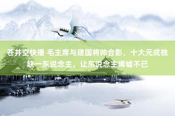 苍井空快播 毛主席与建国将帅合影，十大元戎独缺一东说念主，让东说念主唏嘘不已