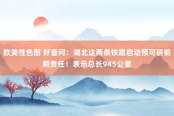 欧美性色图 好音问：湖北这两条铁路启动预可研前期责任！表示总长945公里