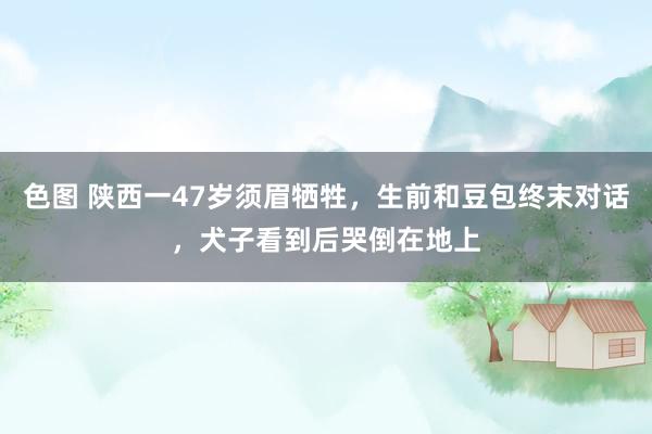 色图 陕西一47岁须眉牺牲，生前和豆包终末对话，犬子看到后哭倒在地上