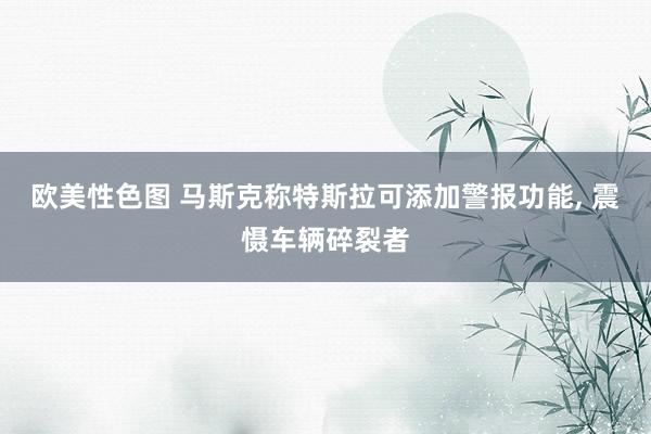 欧美性色图 马斯克称特斯拉可添加警报功能， 震慑车辆碎裂者