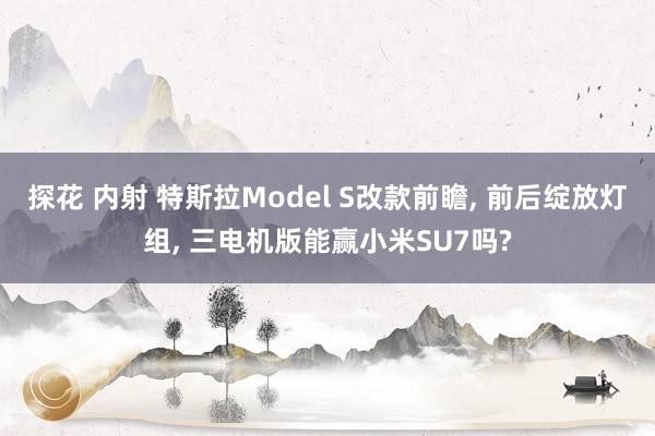 探花 内射 特斯拉Model S改款前瞻， 前后绽放灯组， 三电机版能赢小米SU7吗?