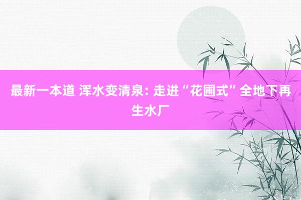最新一本道 浑水变清泉: 走进“花圃式”全地下再生水厂