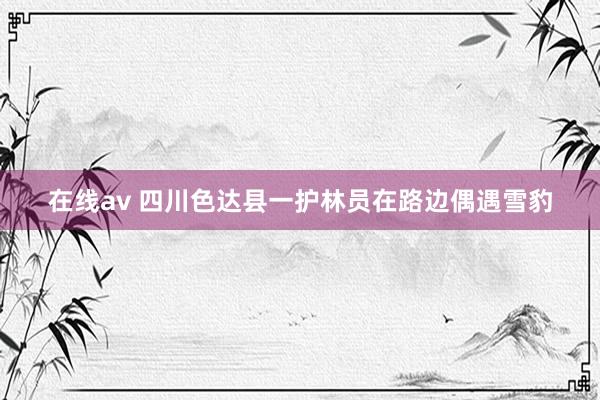 在线av 四川色达县一护林员在路边偶遇雪豹
