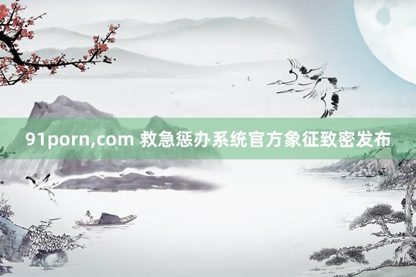 91porn，com 救急惩办系统官方象征致密发布