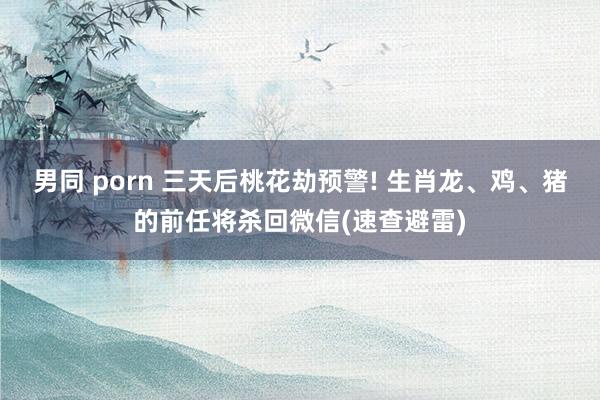 男同 porn 三天后桃花劫预警! 生肖龙、鸡、猪的前任将杀回微信(速查避雷)