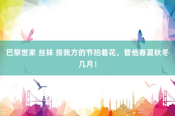 巴黎世家 丝袜 按我方的节拍着花，管他春夏秋冬几月！