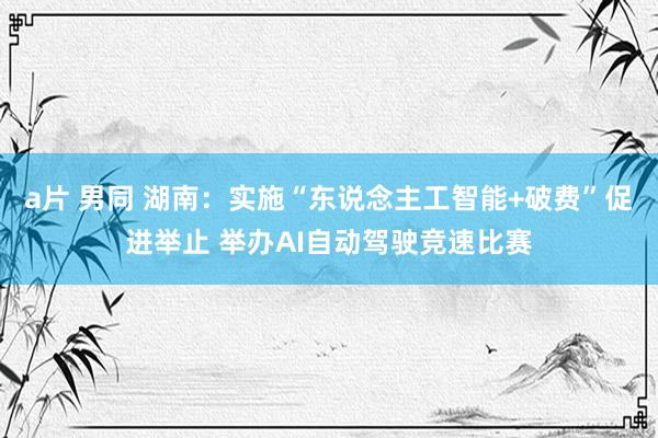 a片 男同 湖南：实施“东说念主工智能+破费”促进举止 举办AI自动驾驶竞速比赛