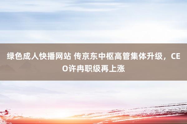 绿色成人快播网站 传京东中枢高管集体升级，CEO许冉职级再上涨