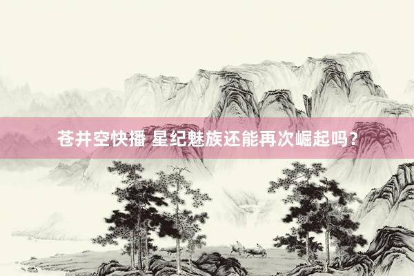 苍井空快播 星纪魅族还能再次崛起吗？